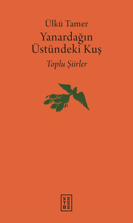 Yanardağın Üstündeki Kuş (Ciltli)