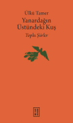 Yanardağın Üstündeki Kuş (Ciltli)