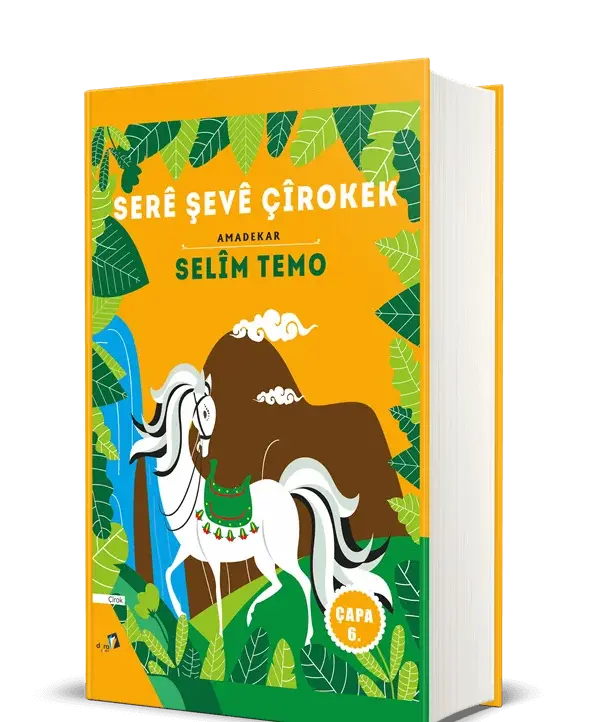 Serê Şevê Çîrokek (Ciltli)
