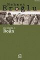 Rojin Fay Kırığı - 3