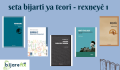 Seta bijartî ya teorî - rexneyê 1