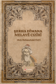 Şerha Dîwana Melayê Cizîrî