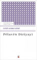 Pêlavên Dirîyayî